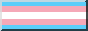 Transgender Flag