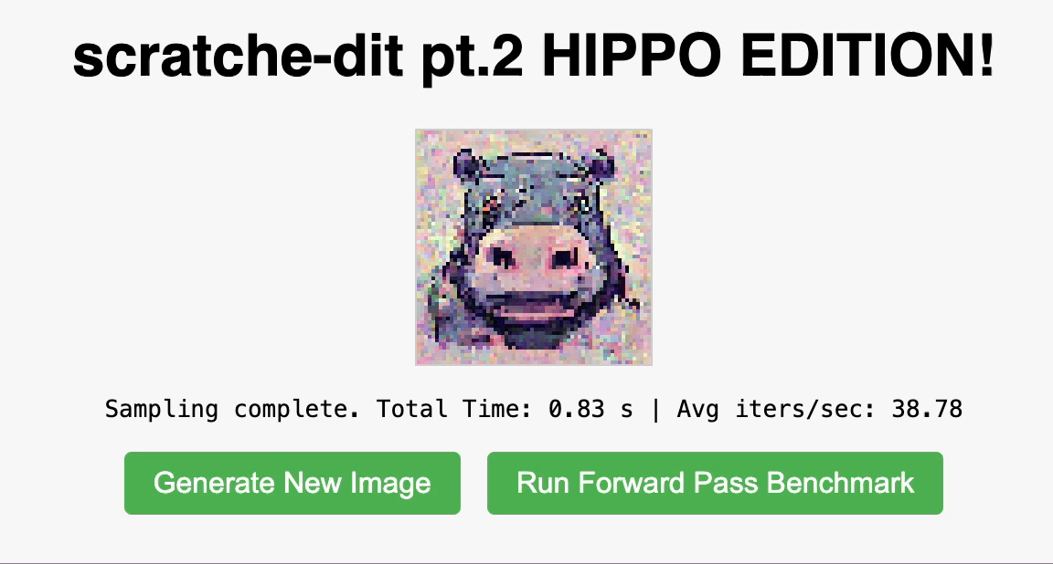 Web DiT in Action